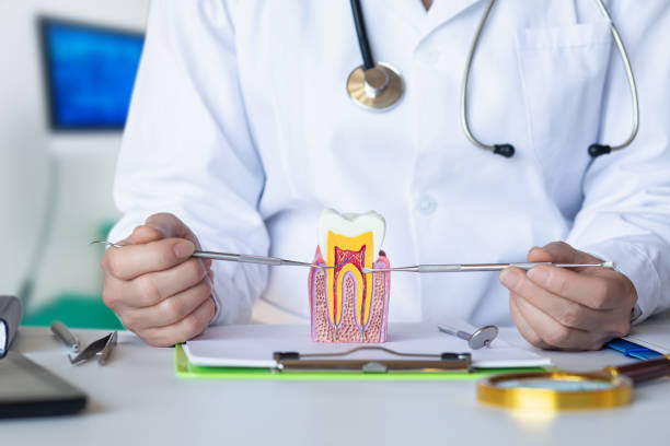 Best Mobile Emergency Dentist in Kittery Point, ME